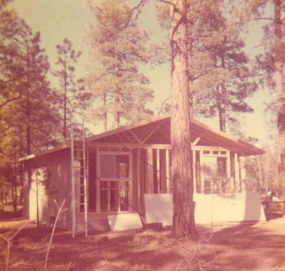 Adair Springs Cabin Pinetop-Lakeside Bagian luar foto